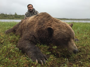 ИмяKamchatka brown bear